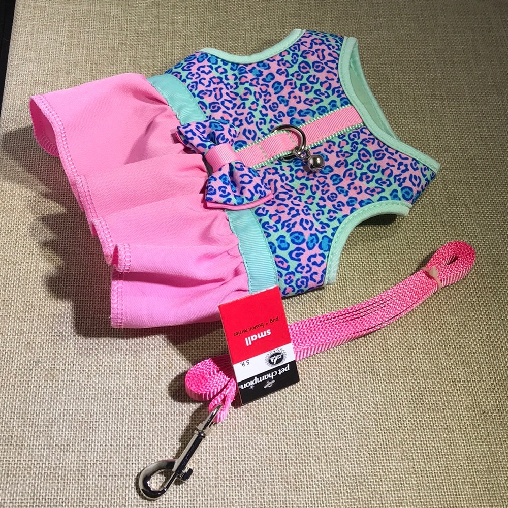 Small pug, terrier or cat harness and leash set